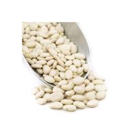 White beans 2021 100-120/100gr only from South Africa