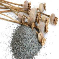 High Quality Blue Unwashed Poppy Seeds For Sale At Good Price