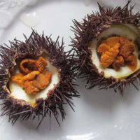 Best Selling Tasty Sea Urchin Flavored Fish Ball Seafood Product