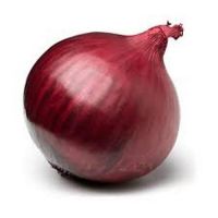 Fresh Red Onion South Africa 50mm size fresh red South Africa onions