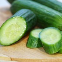 Product 100% Vegetables Green Fresh Cucumber For Sale Best Price From South Africa