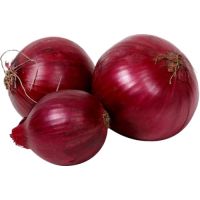 Best selling products onions, onion from South Africa , Export Quality Onion