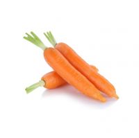 Chinese Bulk Fresh Red Carrot S Size