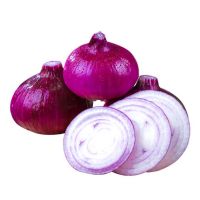 Quality fresh yellow onion vegetables new crop for wholesale