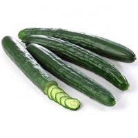 Fresh Cucumber/ Fresh vegetable cucumber