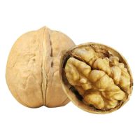 South Africa Fresh Whole Nuts Raw Halves Kernels Fruit Walnut