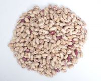 Kidney Beans