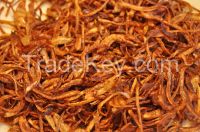 FRIED  ONIONS  FOR EXPORT