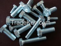 hexagon bolts,hexagon nut,factory hot sale