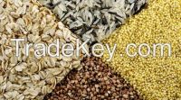 Organic Grain from Ukraine