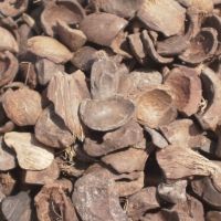 Palm Kernel Shells