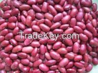 Ethiopian Red Kidney Beans