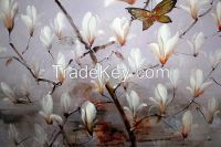 White Flower Canvas Oil Painting Magnolia Flower Oil Painting Modern P