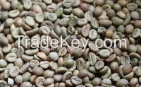 Robusta and Arabica Coffee Beans from Cameroon