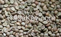 Arabica coffee and Robusta Coffee Beans