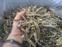 Dried sprats from vietnam with the best quality