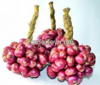 Shallot (Purple Onion) from Vietnamese supplier