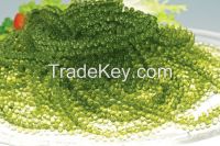 Offer for Grape Seaweed