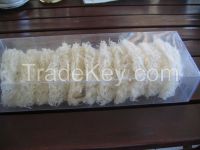 Edible Bird Nest / Swallow Bird Nest Supplier