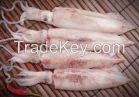 Squid for sales in Vietnam