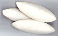 Cuttlefish Bone For Sales From Vietnam