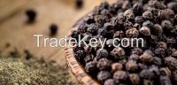 Black Pepper With Hot Prices