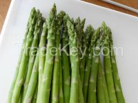 Asparagus For Sale With Special Price