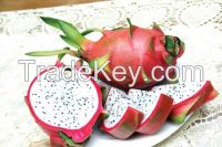 WHITE  FLESH DRAGON FRUIT FROM VIETNAM