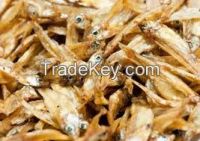Dried Anchovy (Sprat) from VietNam with Hot Price