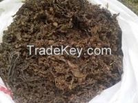 Dried Sargassum Seaweed with Good Price