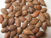 Malva nut with the best price