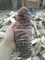 Vietnamese Sea Cucumber with Competitive prices