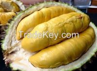 Vietnamese Fresh Durian with Hot Price