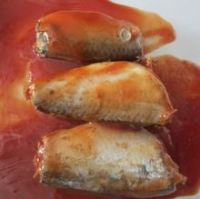 SARDINES IN TOMATO SAUCE FROM VIETNAM