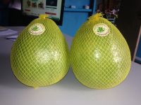 Fresh Pomelo for Export From Vietnam