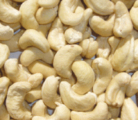 Cashew Nuts For Export From Vietnam