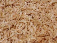 DRIED BABY SHRIMP FOR EXPORT