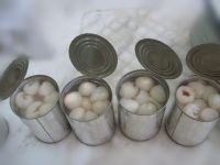 Canned Lychee - Best Quality at Suprise Price