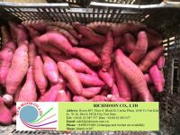 High quality and Natural sweet potato extract for Healthy , small lot order available