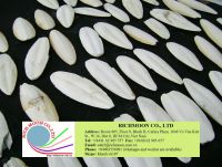 Competitive Price Cuttlefish Bone with Best Quality..