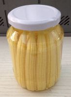 Baby corn in brine with hot price