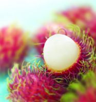 Rambutant fruit for sale with hot price