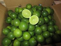 Vietnam Fresh green Lemon/ Lime with seed or seedless