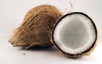 Semi Husked Coconuts 