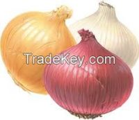 Onions