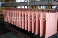 Copper Cathode