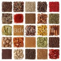 Spices