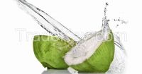 Raw Coconut Water