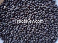 Black Matpe Beans (Thailand)