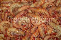 BEST QUALITY SHRIMPS FOR SALE